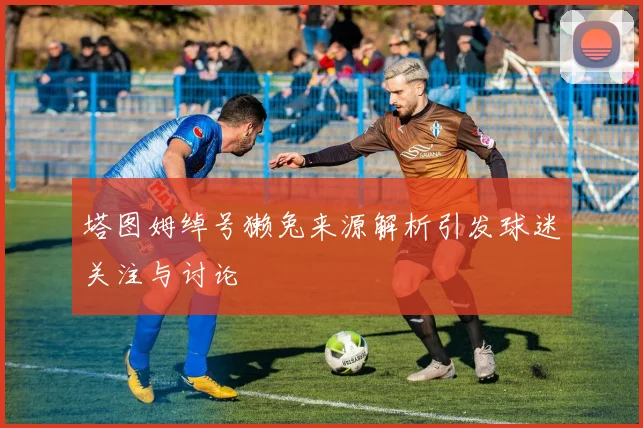 塔图姆绰号獭兔来源解析引发球迷关注与讨论