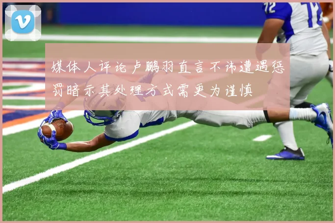 媒体人评论卢鹏羽直言不讳遭遇惩罚暗示其处理方式需更为谨慎